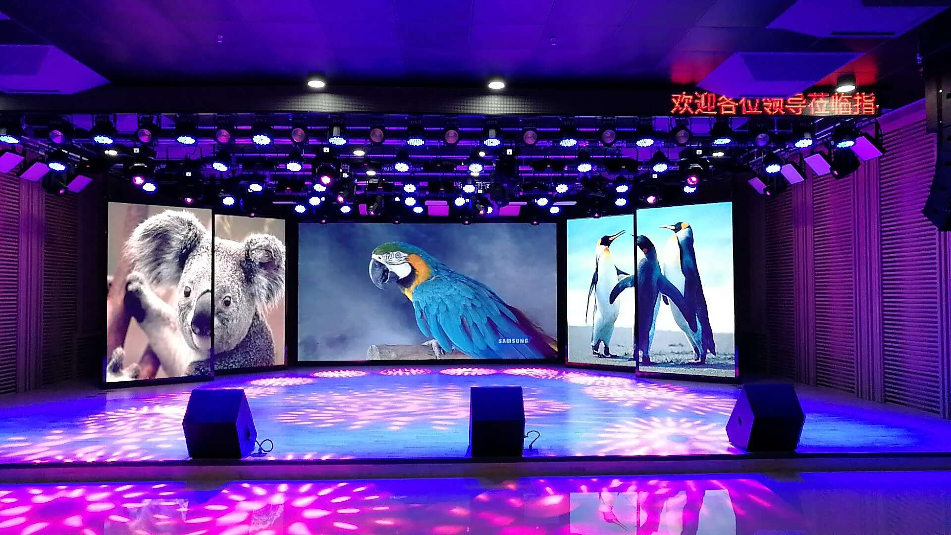 黑龙江电视台 黑龙江电视台